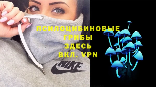 бутират Баксан