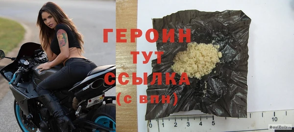 сатива Каменка